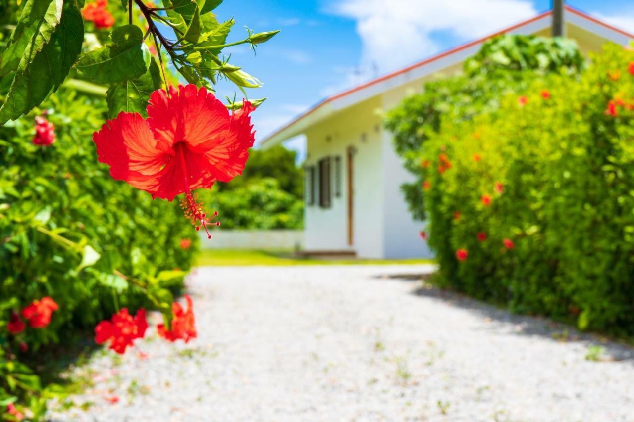 Sunset Hill Ishigaki Villa Ishigaki  Ngoại thất bức ảnh